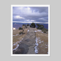 Grand Canyon Path Postcard