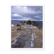 Grand Canyon Path Postcard by moomagic Grand Canyon Path Postcard
