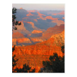 grand canyon post cards