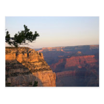 Grand Canyon Post Cards