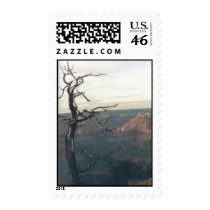 Grand Canyon postage by quetzal323 Grand Canyon postage