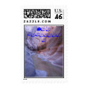 Grand Canyon postage