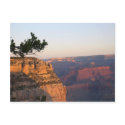 Grand Canyon postcards by TLBeers Grand Canyon postcards