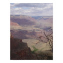 Grand canyon posters by kathandjim Grand canyon posters