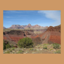Grand Canyon posters