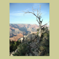 Grand Canyon posters