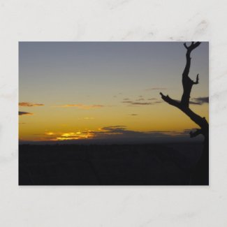 Grand Canyon Sunset Postcard postcard