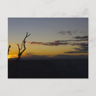 Grand Canyon Sunset Postcard 2 postcard