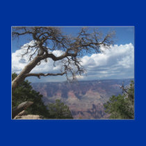 Grand Canyon The Painted Desert Arizona PostCard by ScenicEarthStudios Grand Canyon The Painted Desert Arizona PostCard