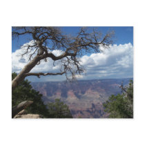 Grand Canyon The Painted Desert Arizona PostCard by ScenicEarthStudios Grand Canyon The Painted Desert Arizona PostCard