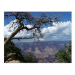 Grand Canyon The Painted Desert Arizona PostCard