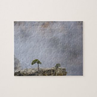 Grand Canyon Tree Puzzle puzzle