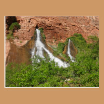 Grand Canyon Vaseys Paradise postcards