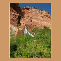 Grand Canyon Vaseys Pardise postcards