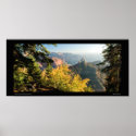 Grand Canyon with a golden birch posters