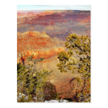 Grand Canyons Arizona 3 Postcard