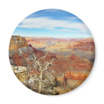 Grand Canyons Arizona Fridge Magnet