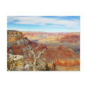 Grand Canyons Arizona postcards by lifesphere Grand Canyons Arizona postcards