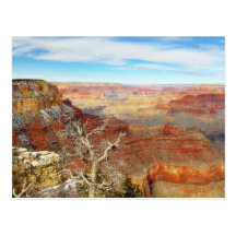 Grand Canyons Arizona Postcard