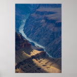 Grand Canyon's Colorado River 4727 Print