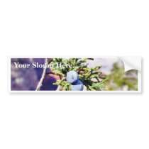 Grand Canyons Junipers Berry Berries Bumper Stickers