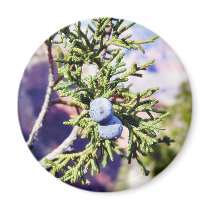 Grand Canyons Junipers Berry Berries magnets