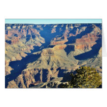 Grand Canyons Overlook Greeting Card