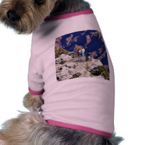 Grand Canyons Overlook Railings Pointing pet clothing