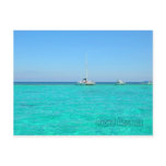 stringray, island