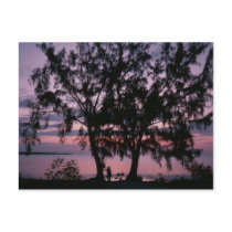 Grand Cayman Sunrise Postcards