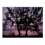 Grand Cayman Sunrise Postcards