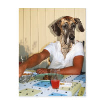Grand danois man postcards by Junglegeorge Grand danois man postcards