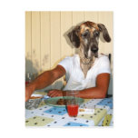 Grand danois man post card