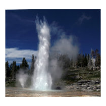 Grand geyser and vent geyser in Yellowstone posters