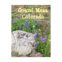 Grand Mesa, Colorado postcards