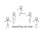 Grand pas de chat t-shirts