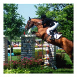 Grand Prix Horse  Invitations