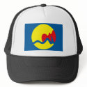 Grand Rapids Flag Hat