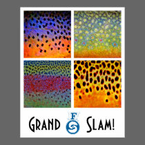 Grand Slam Trout Poster posters