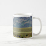 Grand Teton National Park 3 Coffee Mug