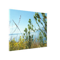 Grand Teton National Park Gallery Wrapped Canvas