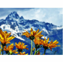 Grand Teton National Park photo sculptures by lifesphere Grand Teton National Park photo sculptures