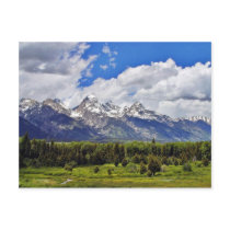Grand Teton National Park. Post Card