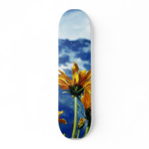 Grand Teton National Park Skateboards