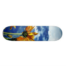 Grand Teton National Park Skateboards