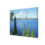 Grand teton national park. stretched canvas print