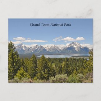 Grand Teton Scenic View Postcard