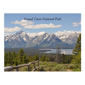 Grand Teton Scenic View Postcard