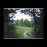 Grand Teton Trail Postcard