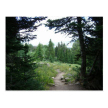 Grand Teton Trail Postcard
